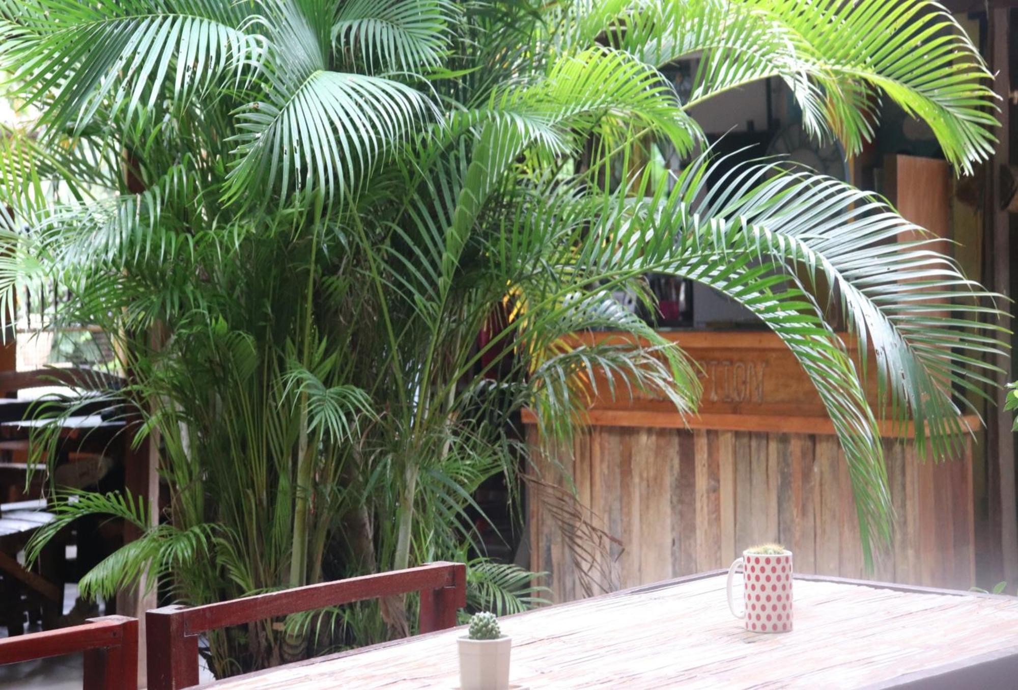 Trekker Camp Hotel Chiang Mai Exterior photo